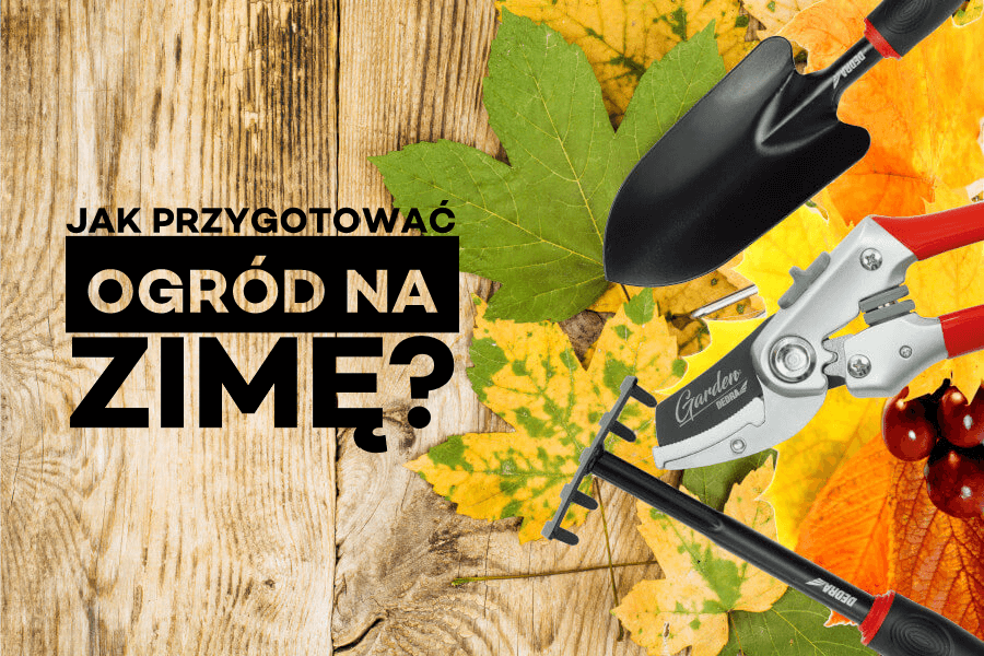 Przygotowanie ogrodu do zimy