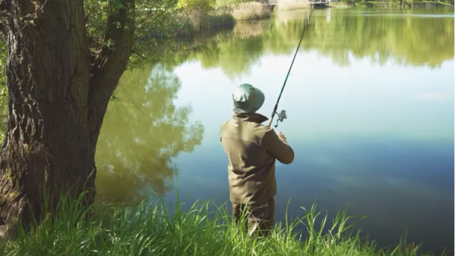 Sprzęt i akcesoria turystyczne DEDRA