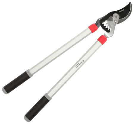 Sekator nożycowy do gałęzi Garden DEDRA 80A021 BY PASS, przekładnia