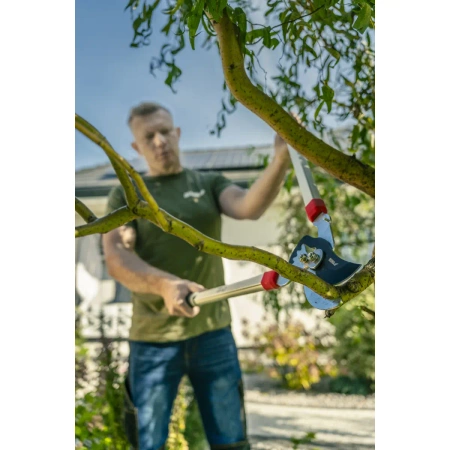 Sekator nożycowy do gałęzi Garden DEDRA 80A021 BY PASS, przekładnia